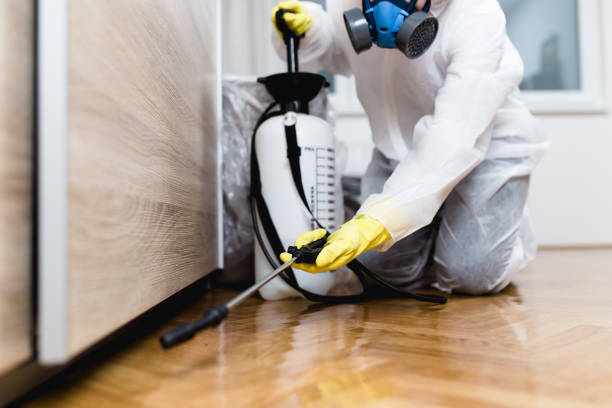 Best Pest Prevention Services  in Hidden Valley Lake, CA