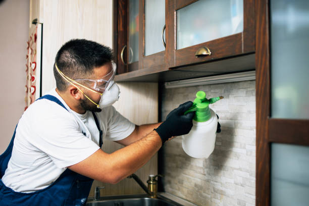 Best Wildlife Control Services  in Hidden Valley Lake, CA