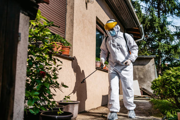Best Termite Control Services  in Hidden Valley Lake, CA