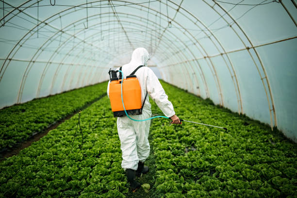 Best Emergency Pest Control  in Hidden Valley Lake, CA