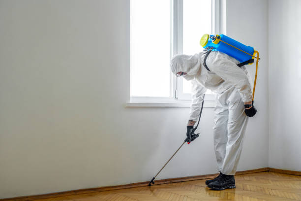 Best Cockroach Control Services  in Hidden Valley Lake, CA