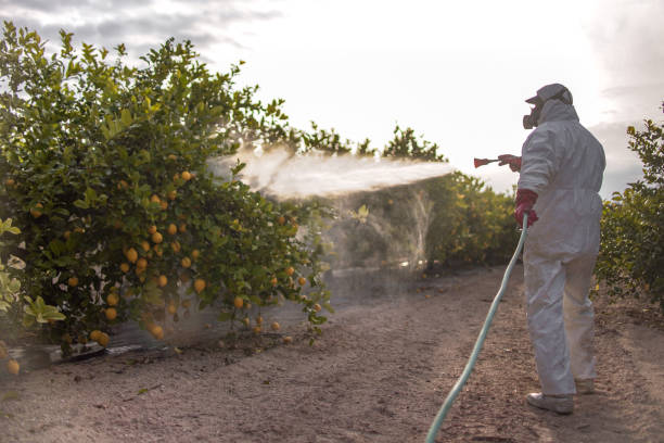 Best Bird Control  in Hidden Valley Lake, CA
