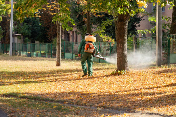 Trusted Hidden Valley Lake, CA Pest Control Experts