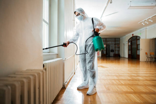 Best Bed Bug Extermination  in Hidden Valley Lake, CA