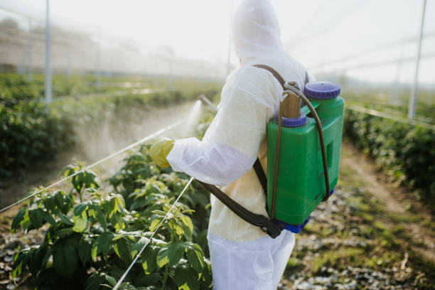 Best Affordable Pest Control Services  in Hidden Valley Lake, CA